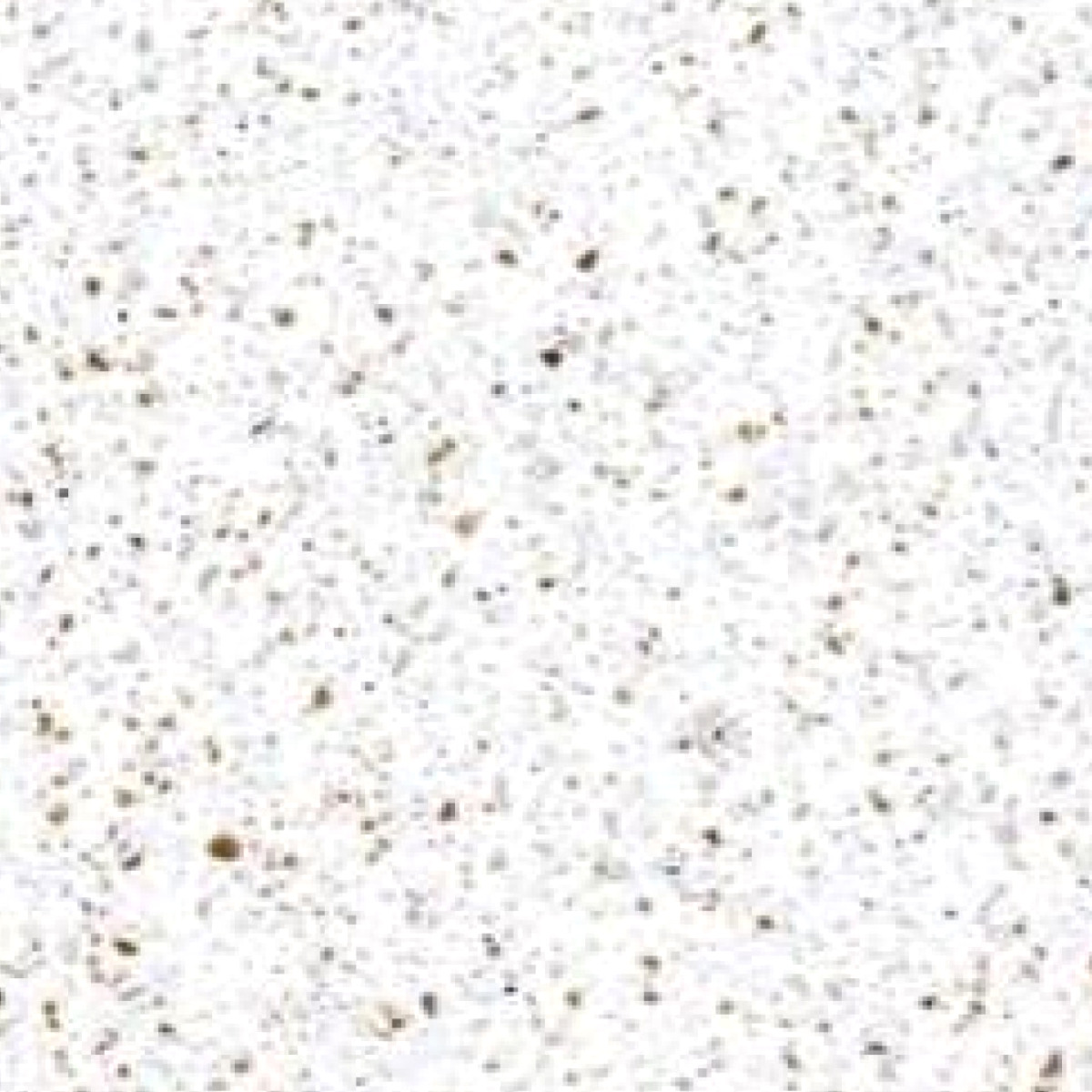 Toffee Crunch Traditional Style Kitchen Worktops Toffee Crunch Traditional Style Kitchen Worktops