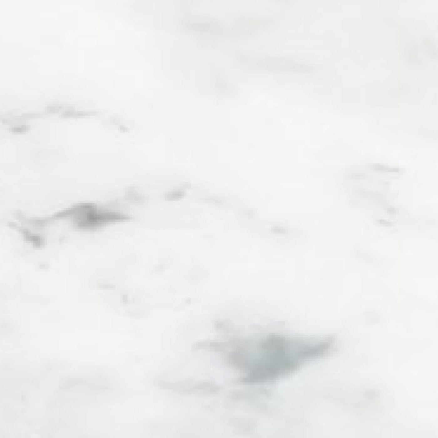 minerva® Carrara White CA Veined decor jpg minerva® Carrara White CA Veined decor jpg